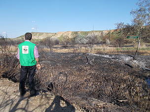 El ‘intolerable’ incendio de las Islillas en el Parque Regional del Sureste