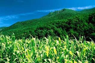 Junta valora el impulso del Proyecto Integra-RBIM a la Reserva de la Biosfera del Mediterráneo