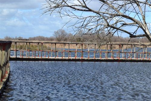 Cuarenta aniversario de Las Tablas de Daimiel (Ciudad Real) como Parque Nacional