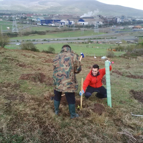 Bosques Sostenibles y Gerdau plantan 1.300 árboles en las inmediaciones de la fábrica de Reinosa