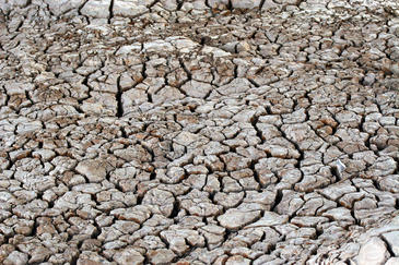 El aumento de la temperatura de la tierra ha sido ‘constante’ desde 1971