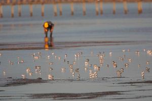 Cataluña organiza diferentes actos para celebrar el Día Mundial de los Humedales