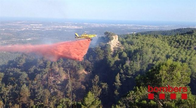 Estabilizado el incendio de Mont-ral (Tarragona) tras quemar más de una hectárea
