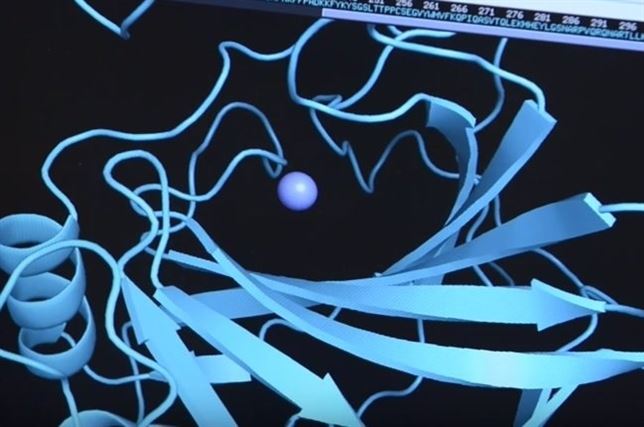 Esta bacteria podría absorber grandes cantidades de dióxido de carbono