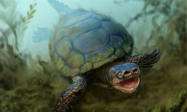 La tortuga que tenía nariz de cerdo
