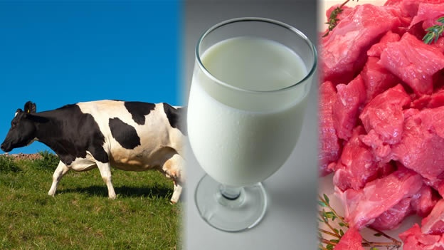 La leche y la carne contribuyen al calentamiento global