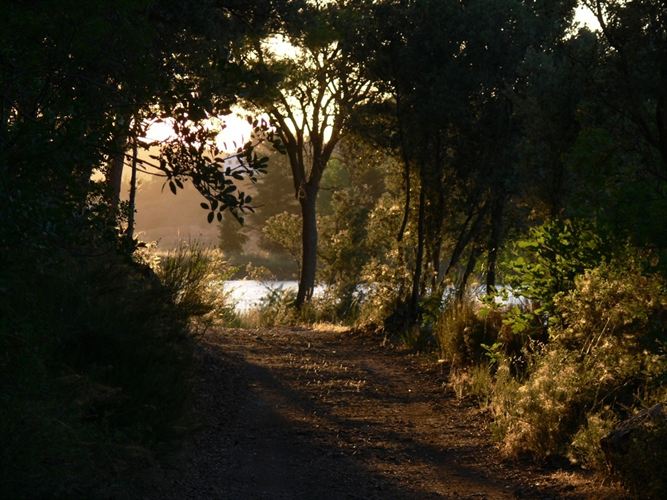 Castilla – La Mancha