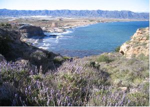 Equo Murcia se opone a la urbanización de Marina de Cope