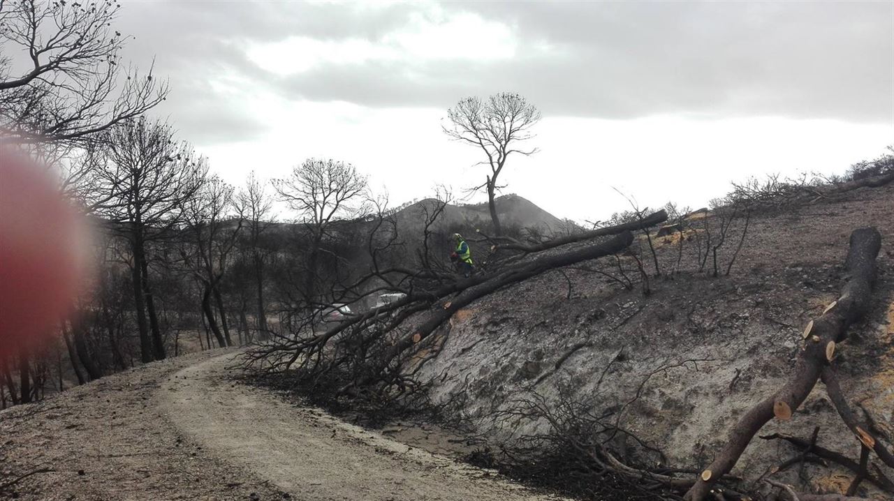 Descontento ‘generalizado’ afectados por el incendio de Quesada satisfechos con el inicio de la restauración