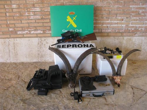 Pillados tres cazadores furtivos en Teruel