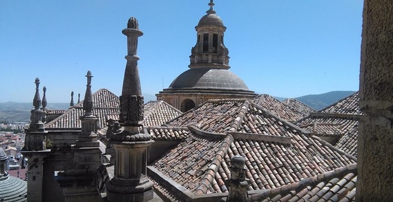 Las obras en la Catedral de Jaén afectan directamente a los cernícalos primilla