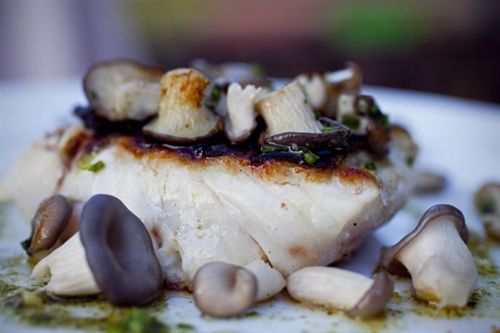 Turismo pondrá en marcha rutas micológicas y recorridos por trujales para promocionar el turismo de naturaleza