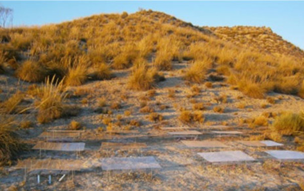 La radiación ultravioleta