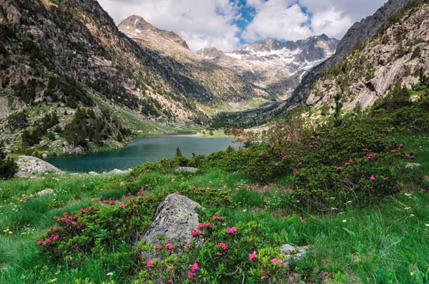 La planificación y conservación de espacios naturales a tu alcance con IUSC