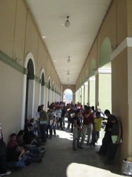 Destacan en acopio y reciclaje de árboles