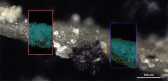 Gracias a la ceniza volcánica se salvó la vida marina de la extinción masiva hace 252 millones de años