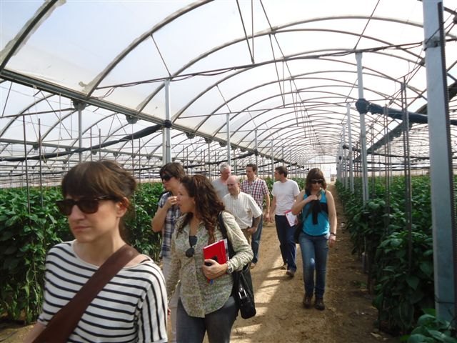 Ya está disponible la herramienta informática “AgriClimateChange Tool (ACCT)”