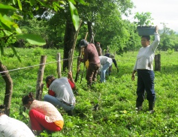 Una nuova piantagione Tree-Nation: Limay