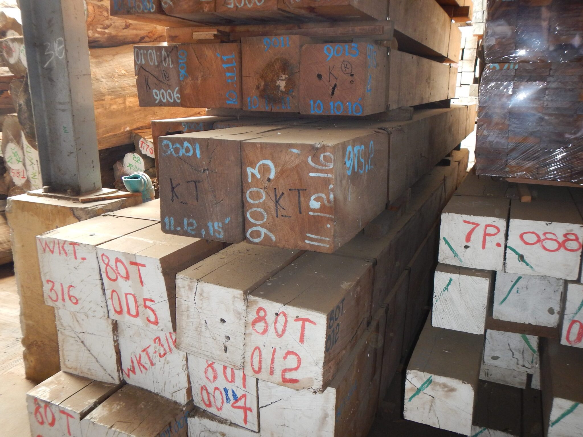 NEPCon reconocida como Entidad de Supervisión del EUTR