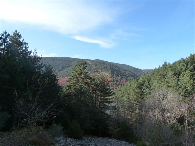 El Parque Natural Sierra de Cebollera programa un paseo guiado entorno a la Ermita de Lomos de Orios para el sábado