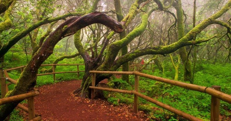 Experto en Planificación y Conservación de Espacios Naturales
