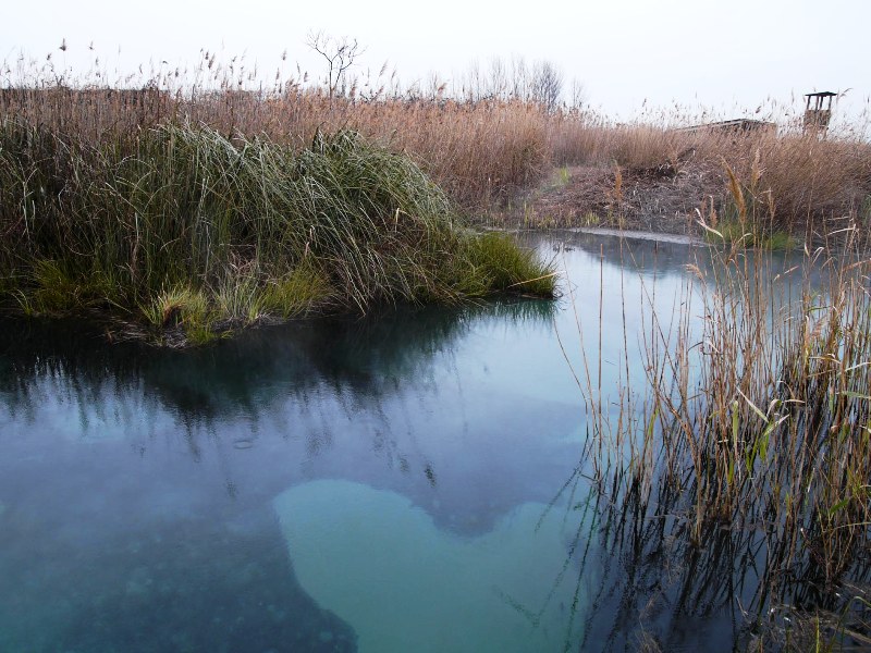 Medio Ambiente prepara programas de seguimiento del estado de las aguas superficiales hasta 2021