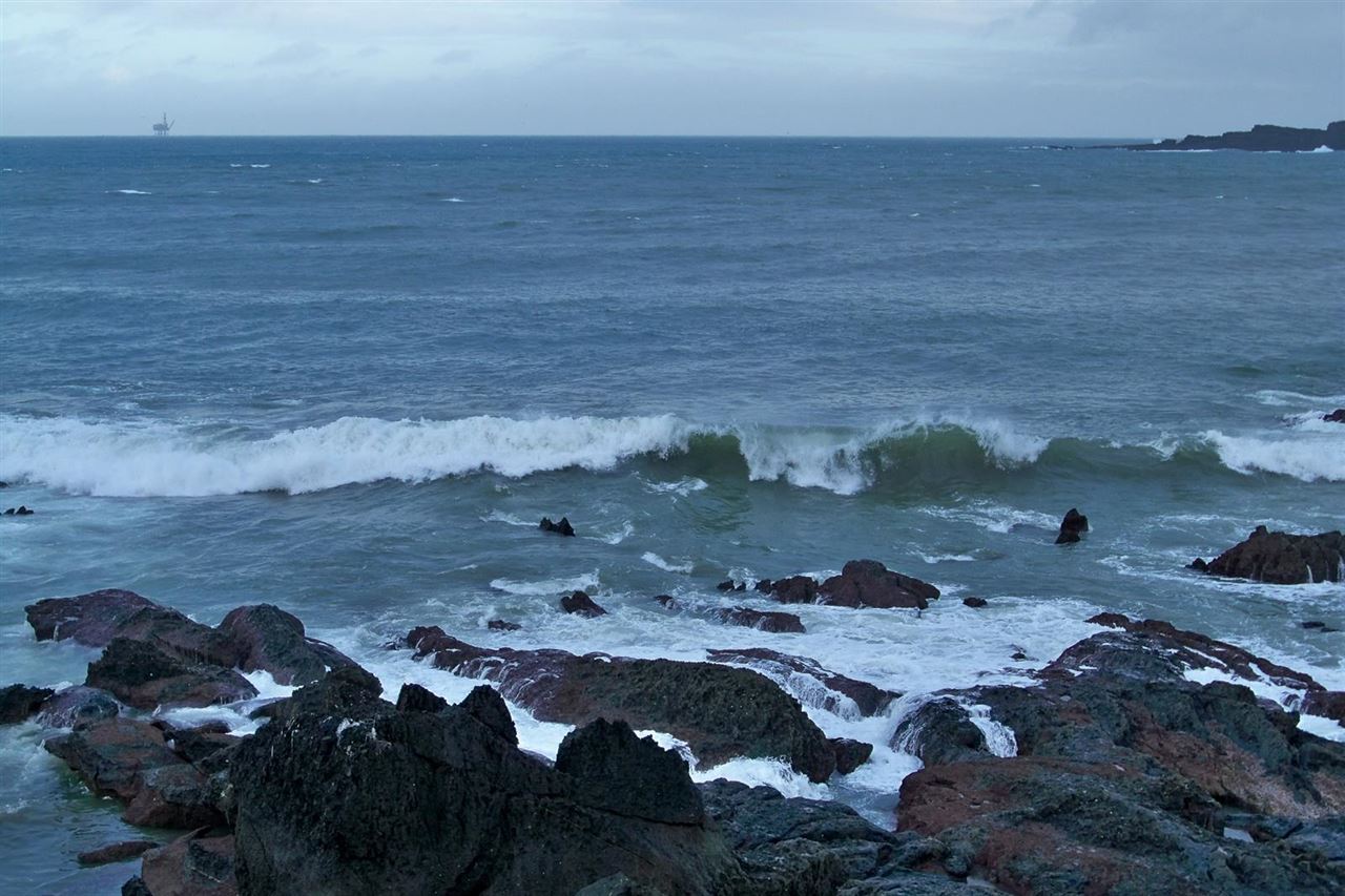 El Centro de Biodiversidad de Euskadi arranca en abril una nueva temporada de salidas para avistar cetáceos