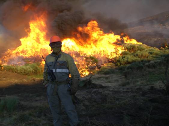 Agentes forestales y medioambientales ‘en pie de guerra’ contra la Ley de Montes
