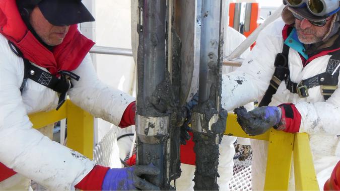 Un jardín secreto bajo el hielo de la Antártida