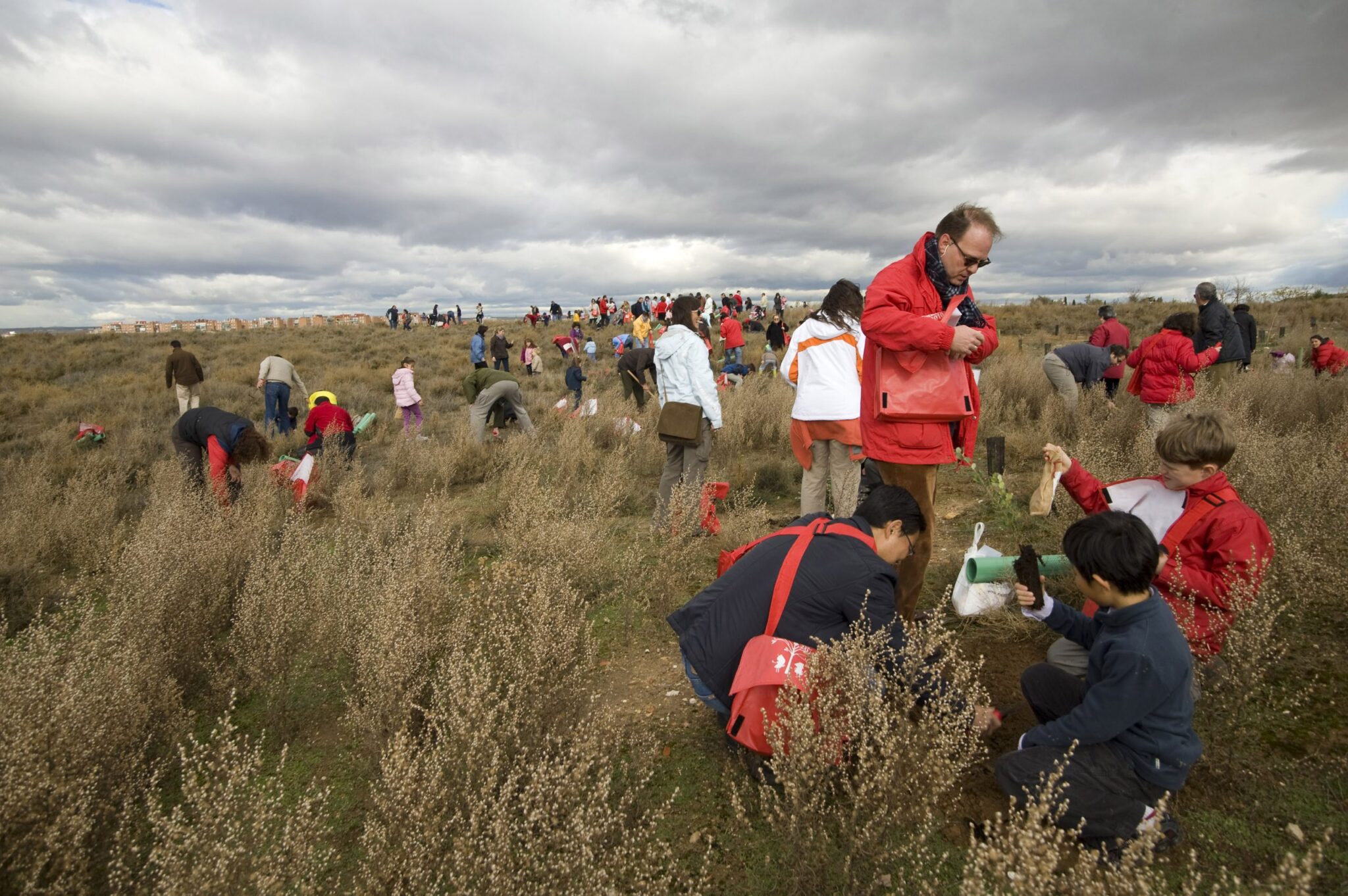 Más de 8.000 personas plantan árboles y semillas en el Día de la Reforestación Toyota