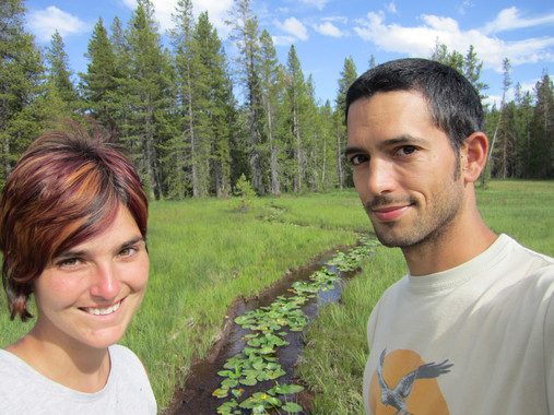 El nitrógeno y la respuesta del suelo al cambio climático