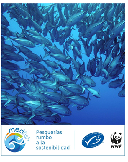 Conoce el grado de sostenibilidad de siete pesquerías mediterráneas españolas