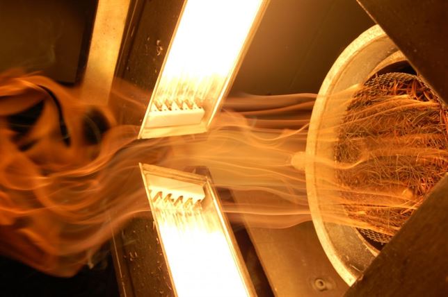 Por qué un asteroide acabó con los dinosaurios