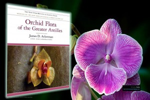 Reveladora publicación muestra la espectacular variedad de especies de orquídeas en el Caribe