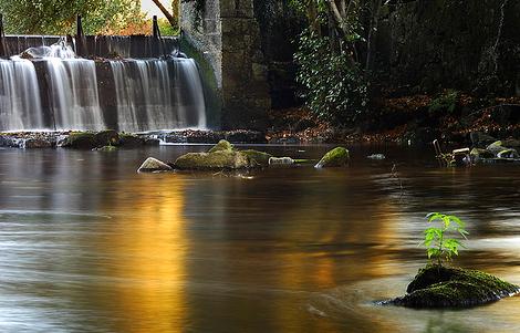 Cuánto cuesta un río Y un bosque