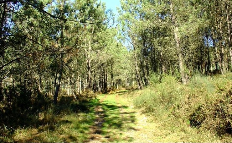 La dispersión de la población rural en Galicia hace más difícil la recogida de residuos