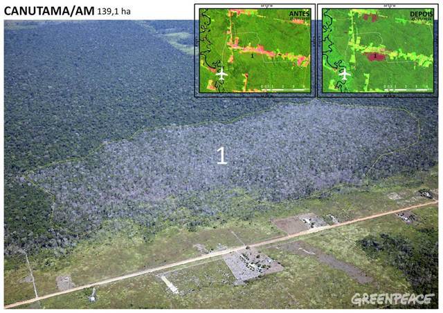 Sobrevolando nuevas zonas deforestadas en la Amazonia