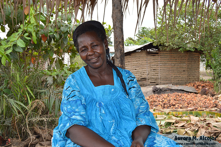 El aceite de palma y el dinero