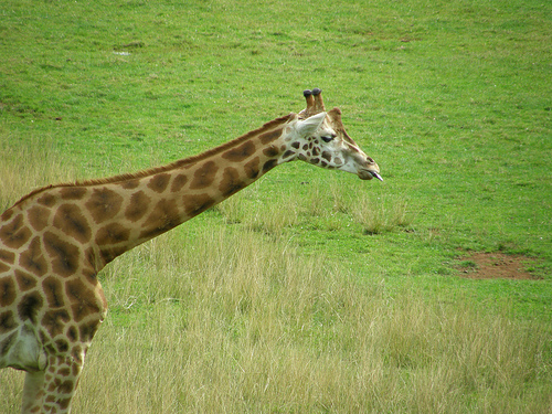 Primer parque de naturaleza de España con guías editadas en braille