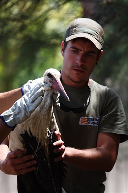Agentes para la Protección de la Naturaleza salvan la vida de varias aves en el Somontano