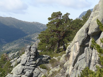 Ante el inminente período de alto riesgo de incendios piden reforzar medidas de prevención  en la Pedriza y Alto Manzanares