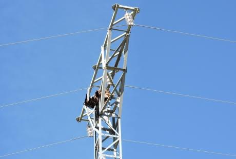 Localizan dos águilas reales electrocutadas en Cantavieja