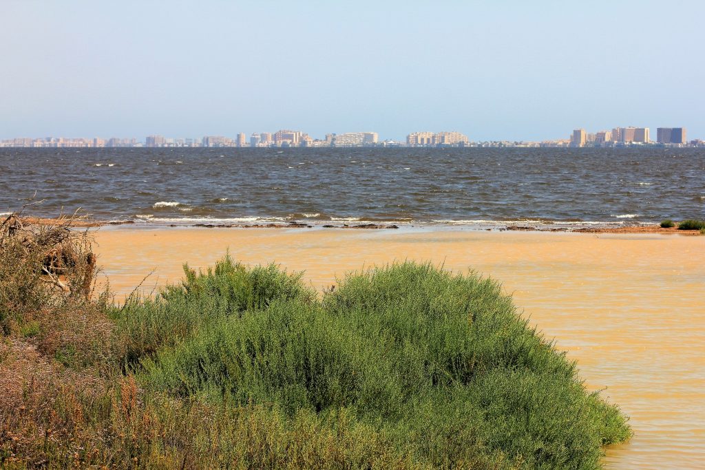 Celdrán pide responsabilidad para trasladar con nitidez que el Mar Menor es único y está en condiciones para disfrutarlo