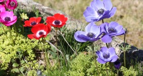 Galicia. Día Mundial de la Tierra
