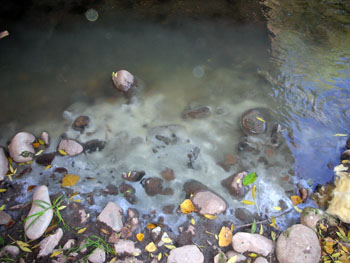La Rioja. ¡Basta ya de vertidos!