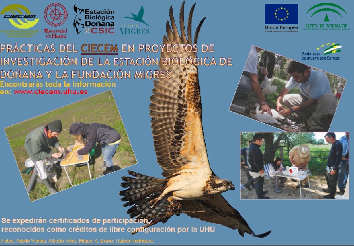 Doñana. Prácticas del CIECEM