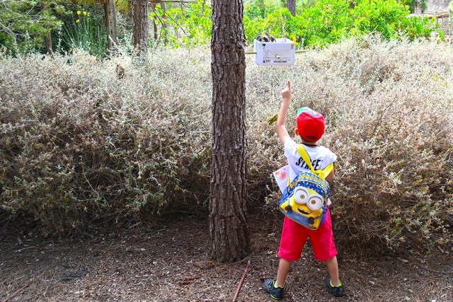 Terra Natura instala casas de insectos para proteger los ecosistemas y la biodiversidad