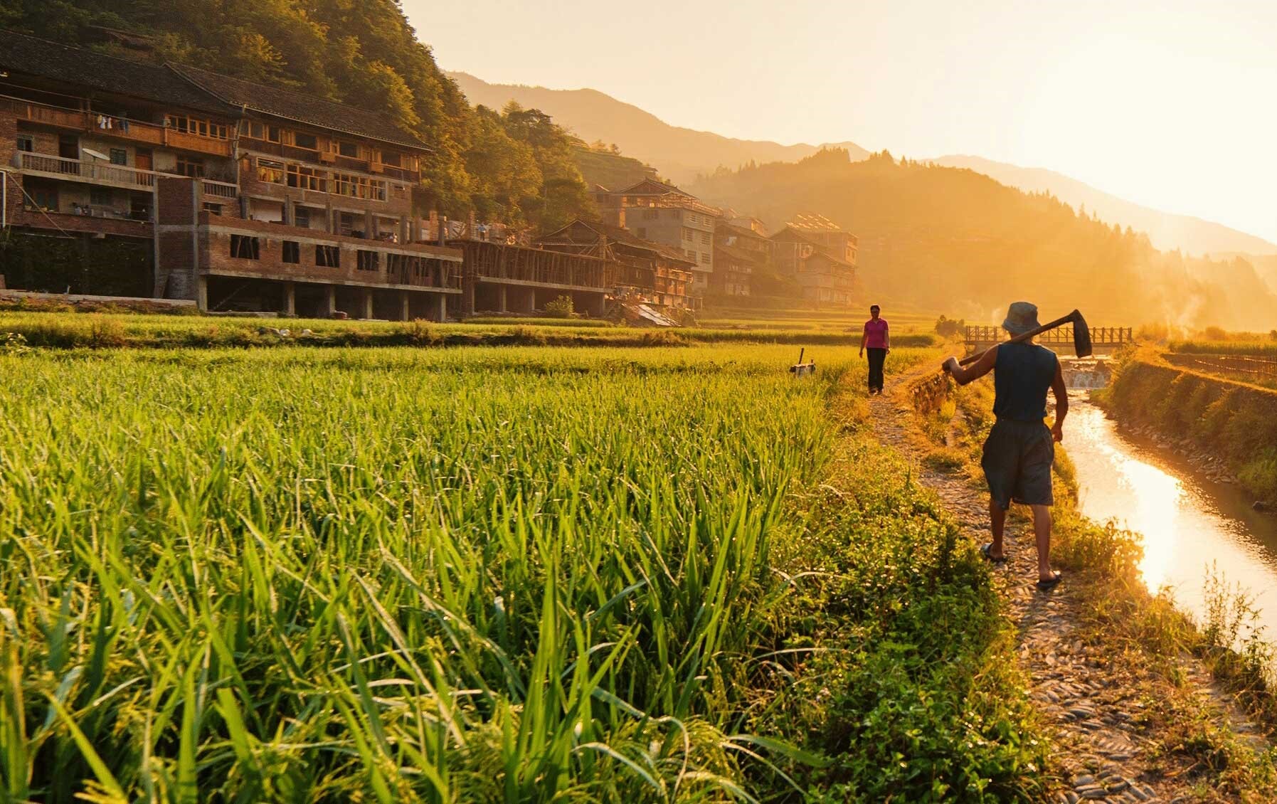 Brasil: líder en agricultura sostenible