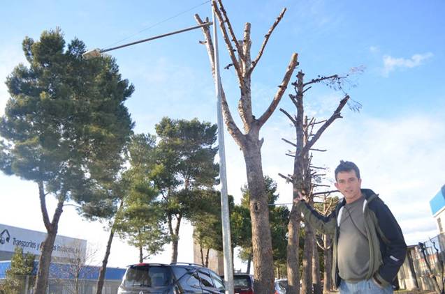 Huesca. Arboricidio en el polígono Las Paules (Monzón)