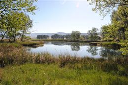 Cuenca organiza para este sábado una visita gratuita para conocer las Lagunas de Fuentes